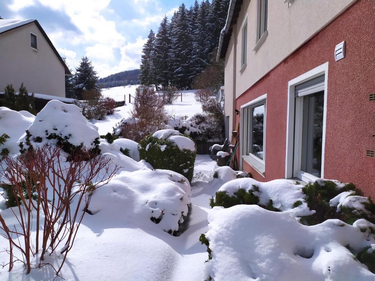 Ferienwohnung Eschenberg Winterberg Bagian luar foto